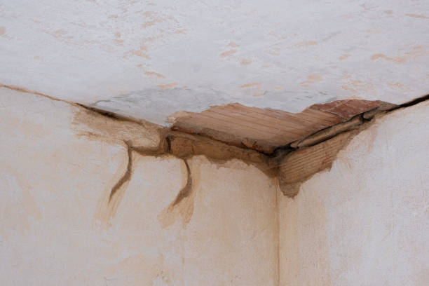 Best 24-hour water damage restoration  in Hudson, WI