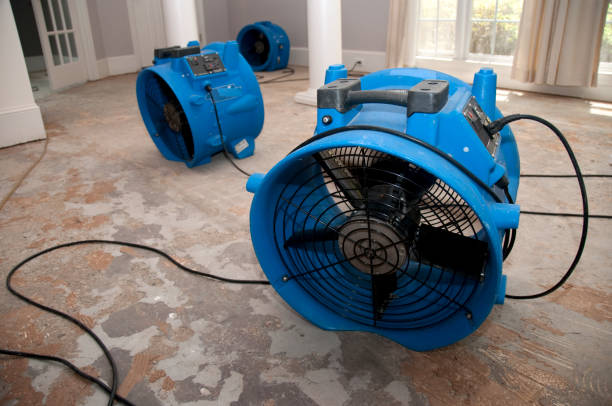 Best Water damage restoration process  in Hudson, WI