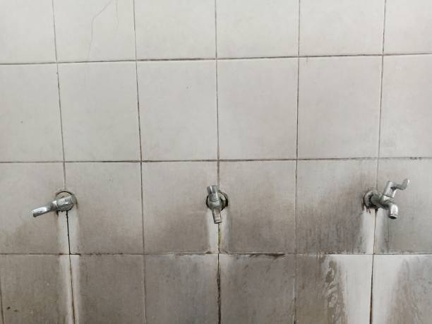 Best Water damage contractors near me  in Hudson, WI