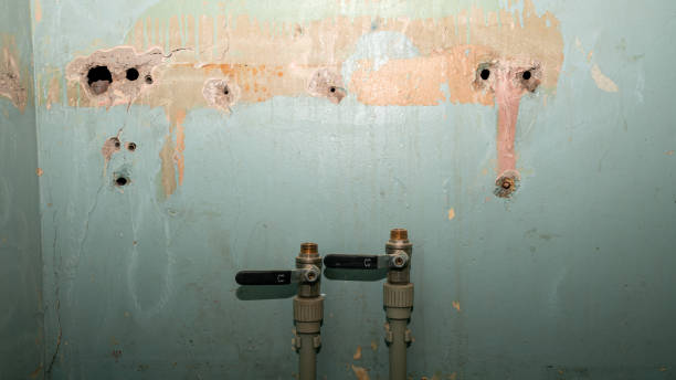 Water damage restoration mold remediation in Hudson, WI