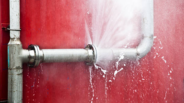 Best Mold removal after water damage  in Hudson, WI